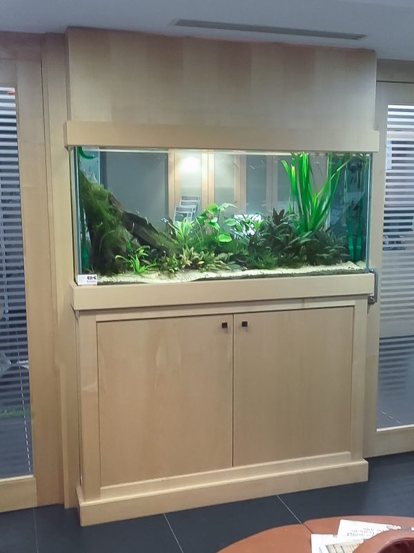 Aquarium 735 litres - Salle d'attente